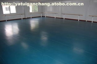 010,價(jià)格,廠家,供應(yīng)商,舞蹈用品,滄州籃鯨文體器材設(shè)備廠 熱賣(mài)促銷(xiāo)